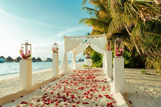 Wedding and Honeymoon Architect 