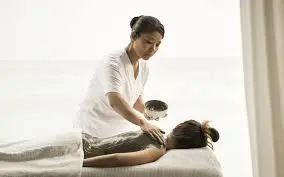 Wellness Concierge 